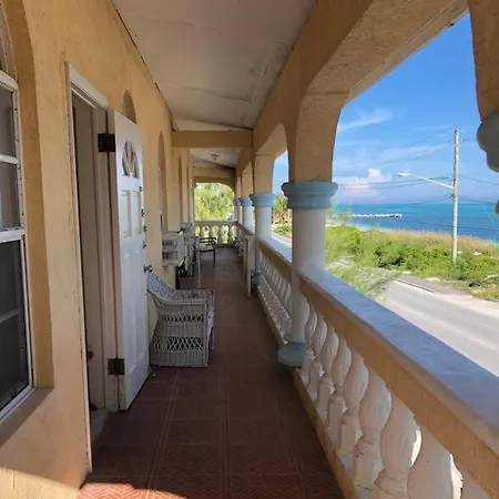 Xxx Apartment